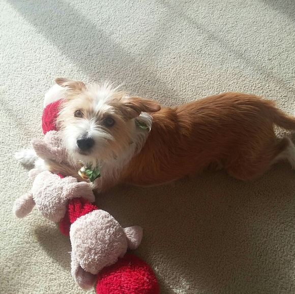 Meet your Posher, Bex - Picture 5 of 7